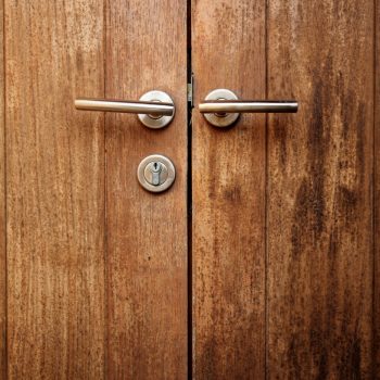 brass door handles