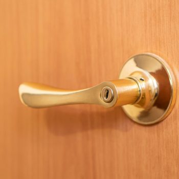 brass door handles