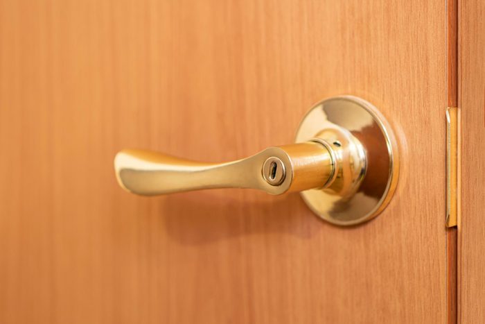 brass door handles