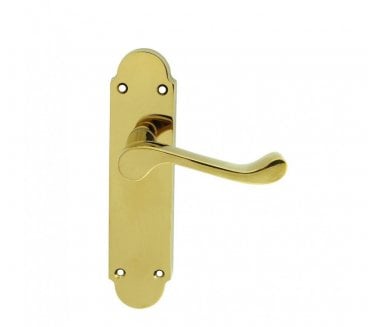 Carlisle Brass DL Oakley Door Handles On Backplate - Polished Brass