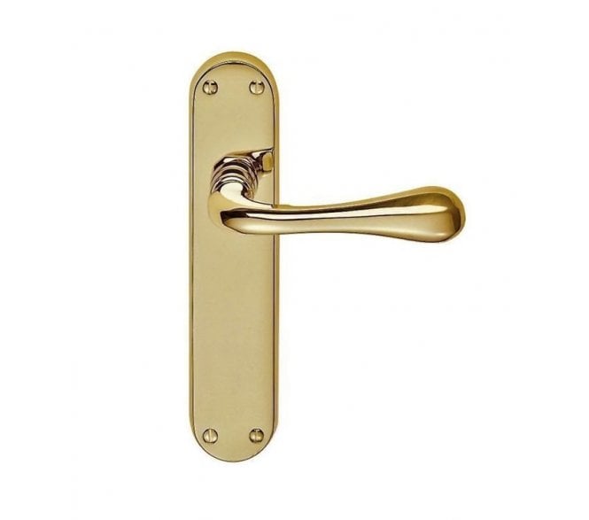 Carlisle Brass EL Astro Door Handles On Backplate -   Polished Brass