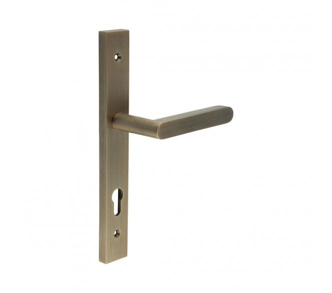 CRES GRADE 316 CR-101 Multipoint Handle On Backplate - Antique Brass PVD