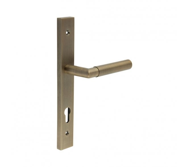 CRES GRADE 316 CR-102 Multipoint Handle On Backplate - Antique Brass PVD