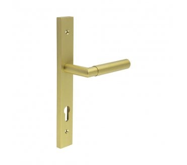 CRES GRADE 316 CR-102 Multipoint Handle On Backplate - Satin Brass PVD