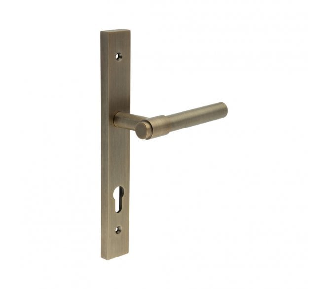 CRES GRADE 316 CR-103 Multipoint Handle On Backplate - Antique Brass PVD