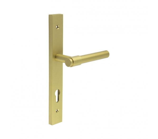 CRES GRADE 316 CR-103 Multipoint Handle On Backplate - Satin Brass PVD