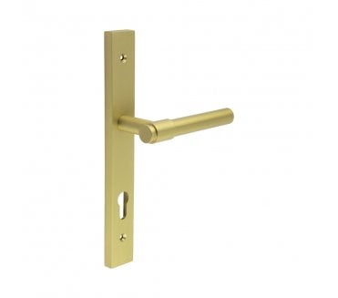 CRES GRADE 316 CR-103 Multipoint Handle On Backplate - Satin Brass PVD