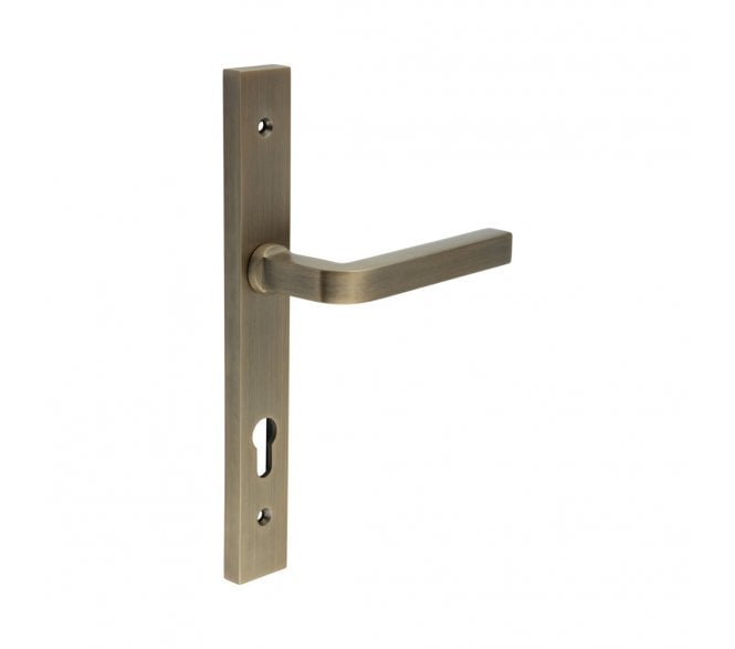 CRES GRADE 316 CR-104 Multipoint Handle On Backplate - Antique Brass PVD