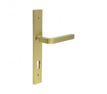 CRES GRADE 316 CR-104 Multipoint Handle On Backplate - Satin Brass PVD