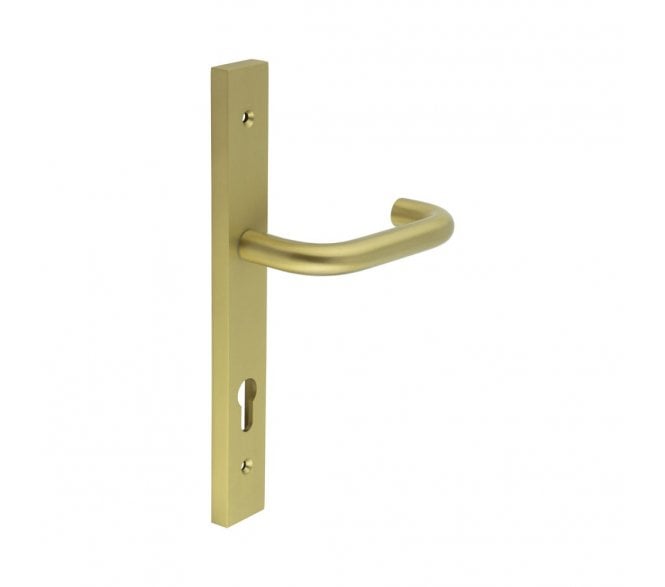 CRES GRADE 316 CR-106 Multipoint Handle On Backplate - Satin Brass PVD