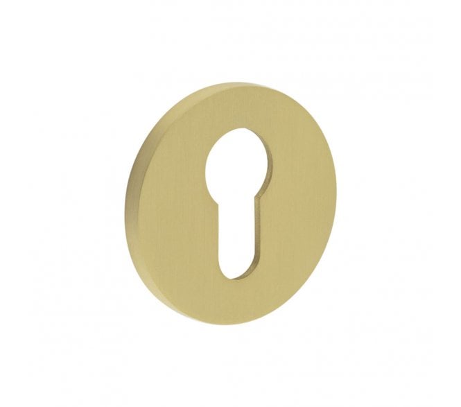 CRES GRADE 316 CR-S10 Euro Profile Round Rose Escutcheon - Satin Brass PVD