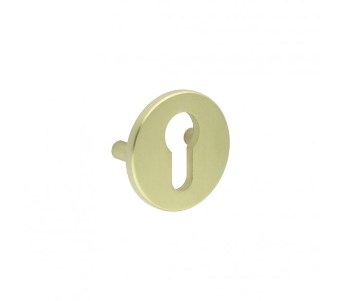 CRES GRADE 316 Euro Escutcheon - Lug Fixed - Satin Brass PVD