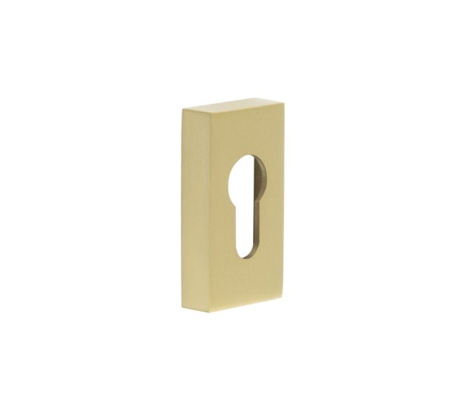 CRES GRADE 316 Rectangular Euro Profile Escutcheon - Satin Brass PVD