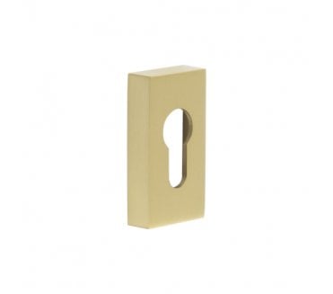 CRES GRADE 316 Rectangular Euro Profile Escutcheon - Satin Brass PVD