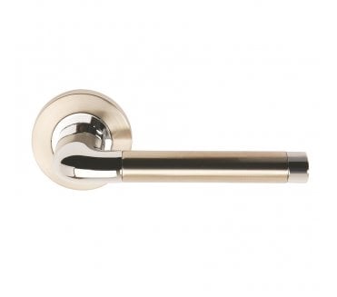 Excel Hardware 3670 Argo Door Handle On Rose - Satin Nickel/Polished Chrome