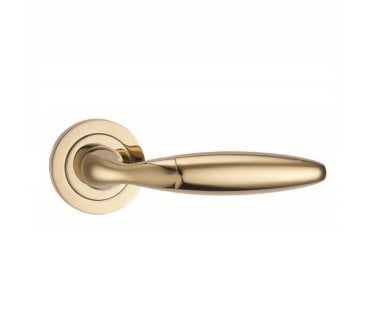 Fortessa Bulbus Door Handle On Rose - PVD Brass