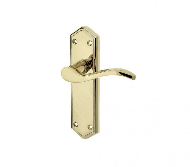 Frelan Paris Door Handles On Backplate - PVD Brass