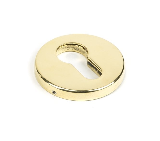 From The Anvil 45473 Regency Concealed Euro Profile Escutcheon - Aged Brass