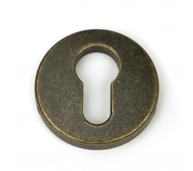 From The Anvil 52605 Regency Concealed Euro Profile Escutcheon - Burnished Brass