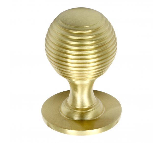 Prima Solid Reeded Cabinet Knobs - Satin Brass