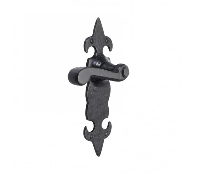Spira Brass Fulbrook Door Handles On Backplate - Black