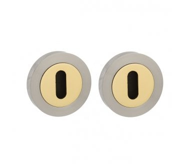 STATUS Keyhole Escutcheons on Round Rose - Satin Nickel/Polished Brass (Pair)