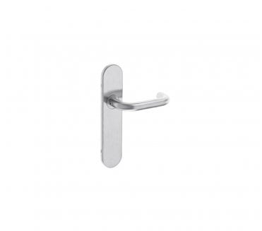Zoo Hardware ZCSIP Door Handles on Long Backplate - Satin Stainless Steel